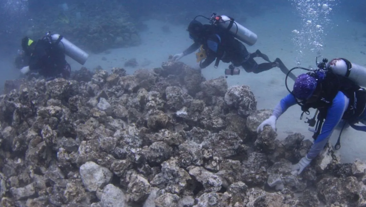 Pemulihan Ekosistem Terumbu Karang